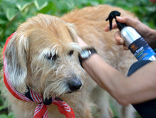 Load image into Gallery viewer, Bug Stuff